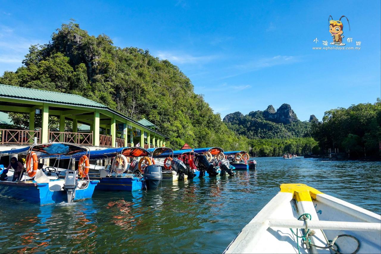 Mangrove Tour Langkawi: Jelajahi Ekosistem Pesisir yang Memesona